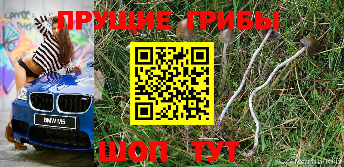Галлюциногенные грибы Psilocybe  Галлюциногенные грибы Cubensis  Вход с VPN  Ухта 