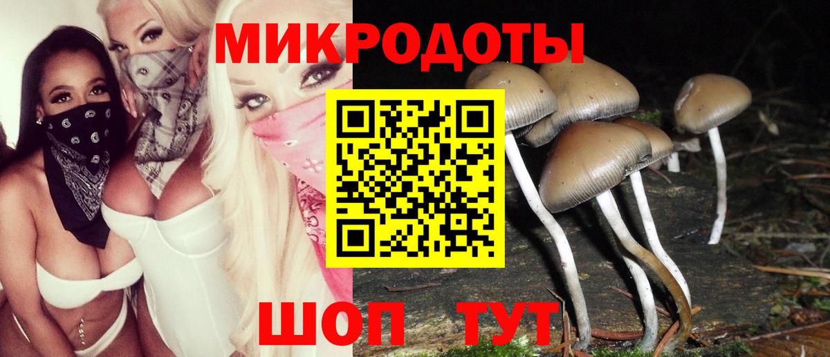 Галлюциногенные грибы Psilocybine cubensis Ухта